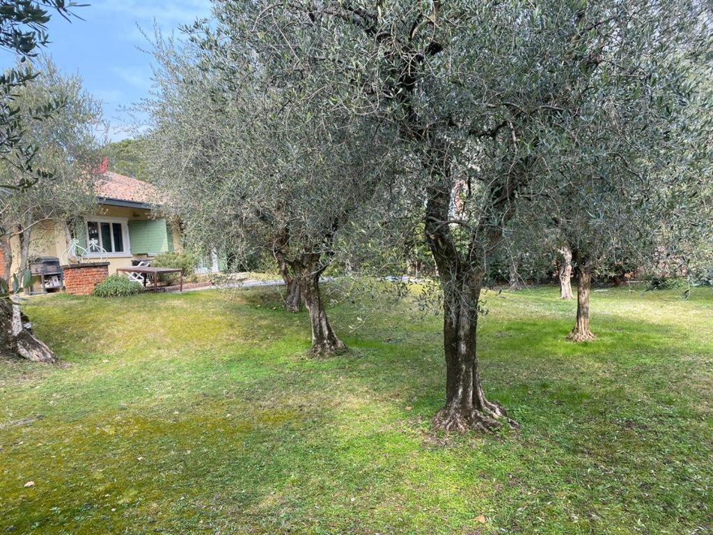 Villa Sweet Flower - With Private Pool And Garden مانربا ديل جاردا المظهر الخارجي الصورة