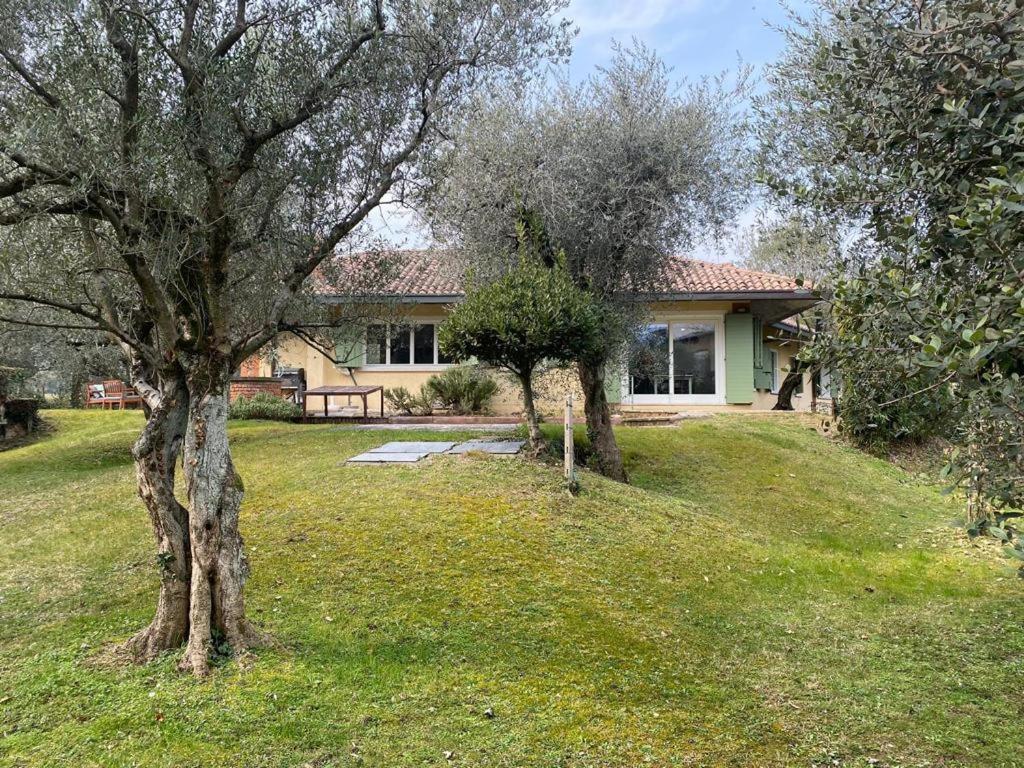 Villa Sweet Flower - With Private Pool And Garden مانربا ديل جاردا المظهر الخارجي الصورة
